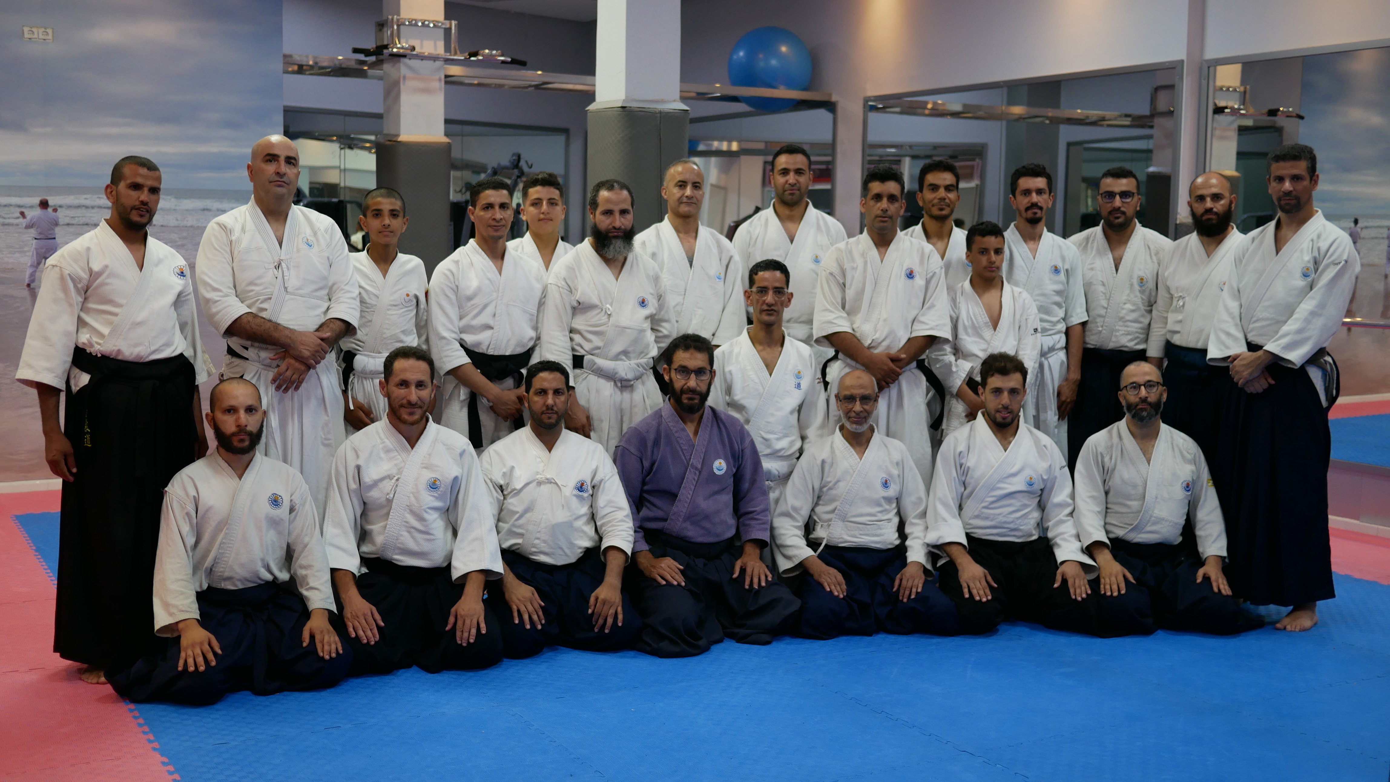 Takeda Budo martial artists in action